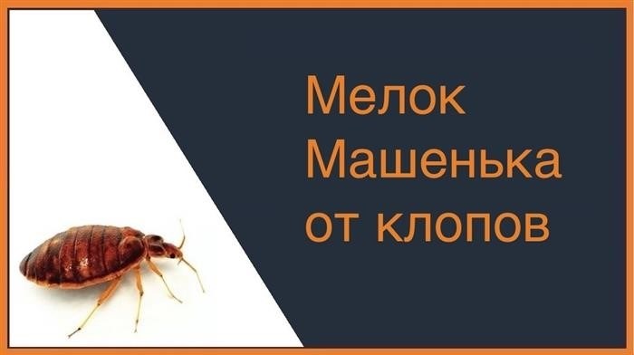 ТОП мелков против клопов: выбирайте эффективное средство