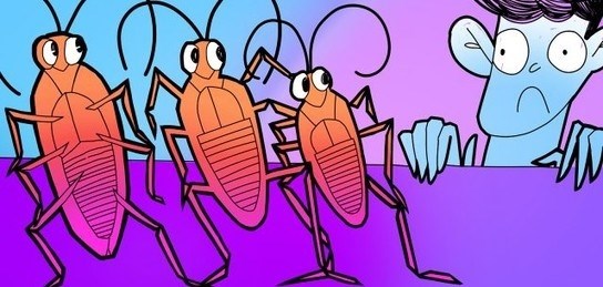 Чем опасны тараканы и муравьи?