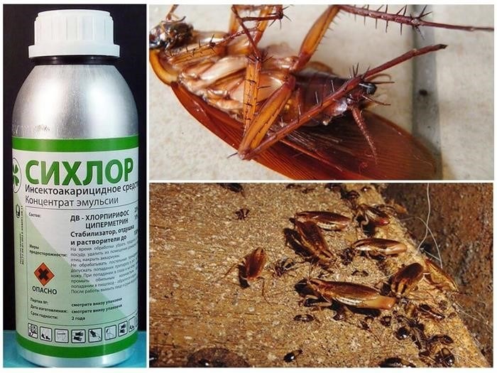 Ловушки для тараканов: эффективные методы борьбы с насекомыми