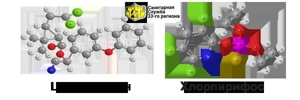 Особенности химической формулы Зондера