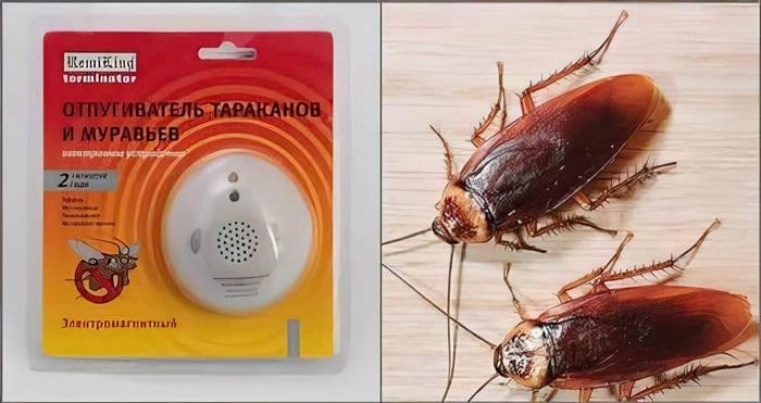 Как выбрать подходящую модель электромагнитного отпугивателя тараканов?