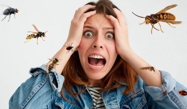 Прогноз и профилактика боязни тараканов