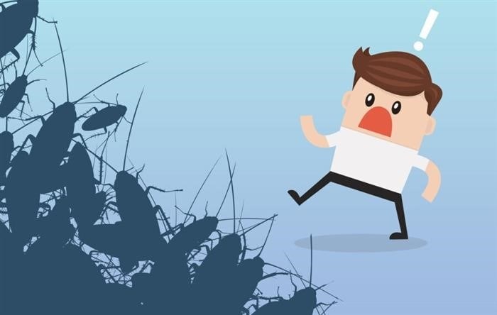 Фобия тараканов: как называется страх и боязнь этих насекомых?