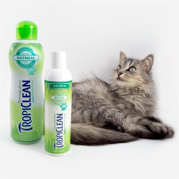 Best Natural: Coat Defense CD Clean Pet Shampoo