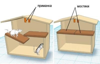 Крысоловка за 5 минут