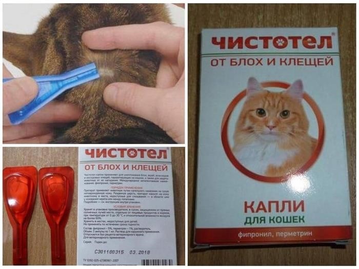 Капли от блох и клещей для кошек: эффективная защита от паразитов