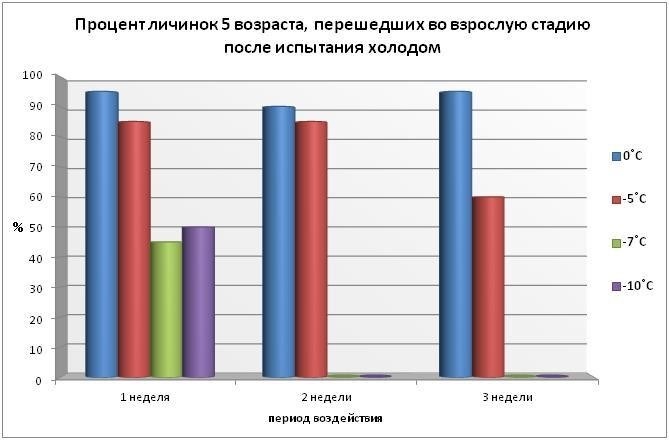 Как реагирует личинка на воздействие холодом?