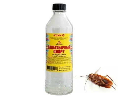 Раствор аммиака: эффективное средство против насекомых