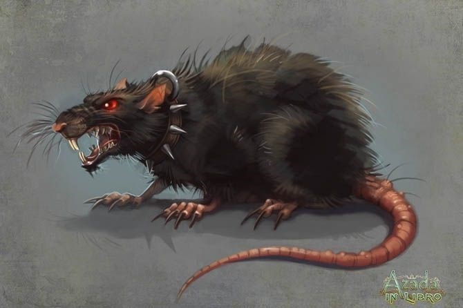 Укус крысы: насколько опасна травма?