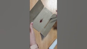 ARGUS гранулы от ползающих и летающих насекомых 100 г