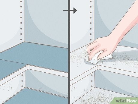 Как избавиться от пищевой моли в квартире полностью