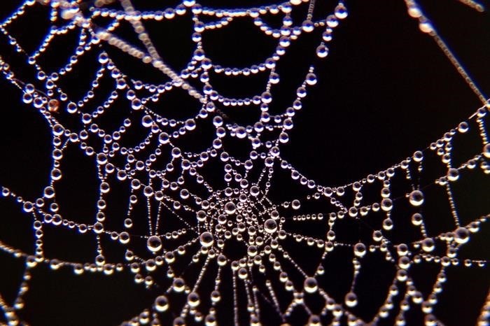 Алгоритм плетения паутиной паука