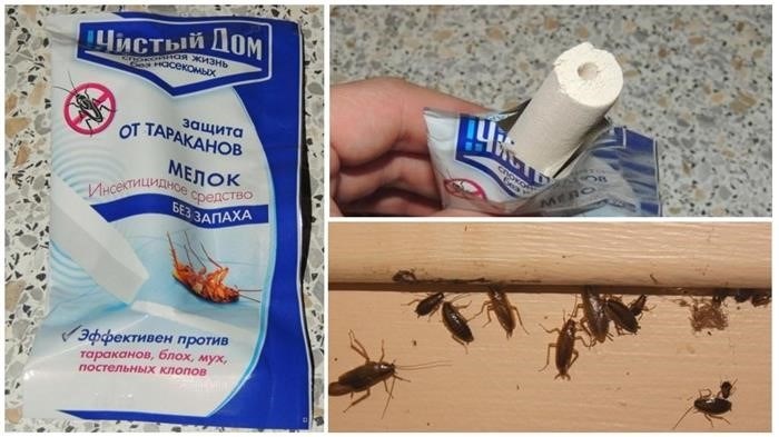 Как эффективно использовать мелок от тараканов