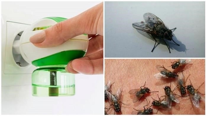 Другие эффективные средства для борьбы с мухами