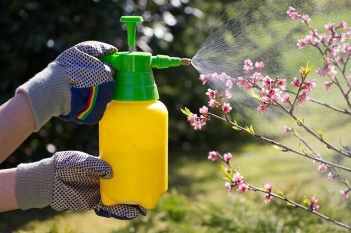 Биопрепараты для борьбы с паутинным клещом в саду и на огороде