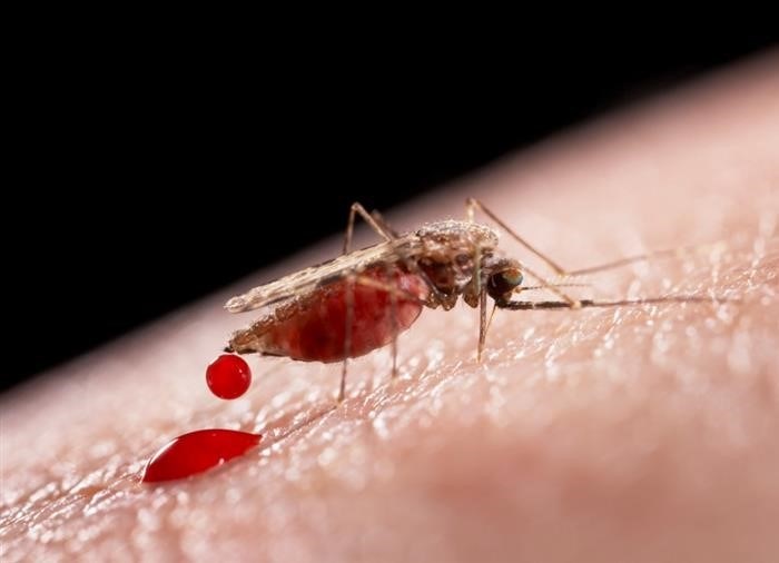 Эпидемиологический надзор за малярией