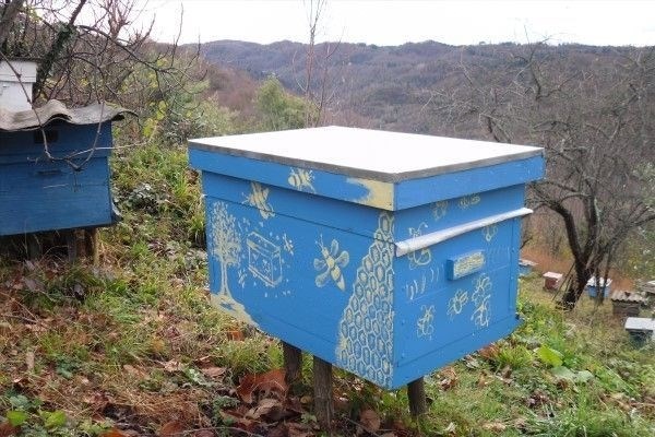 Способы заражения и признаки инфицирования пчел клещом