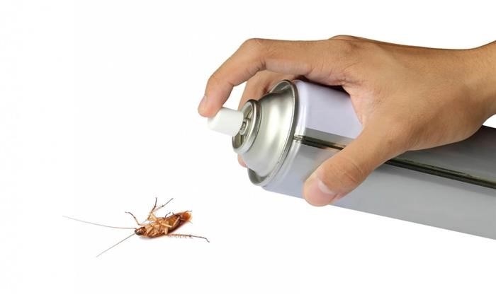 Как выбрать наиболее эффективное и безопасное чистящее средство для борьбы с тараканами?