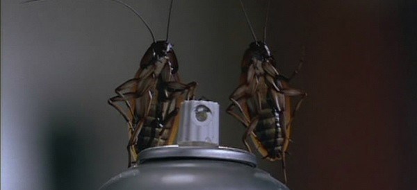 Найден новый эффективный инсектицид: быстрое решение проблемы тараканов