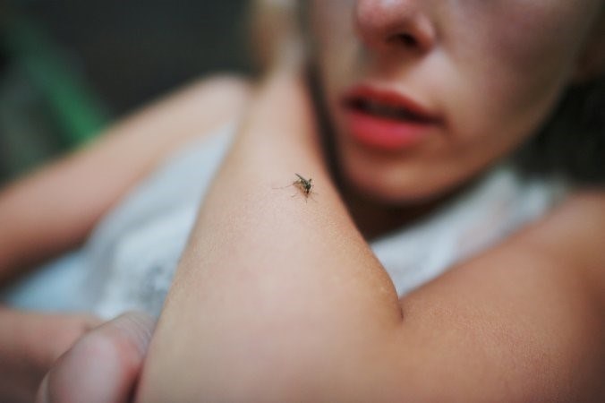 Особенности и симптомы укусов комаров
