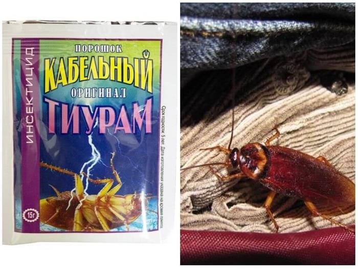 Как действует средство от тараканов