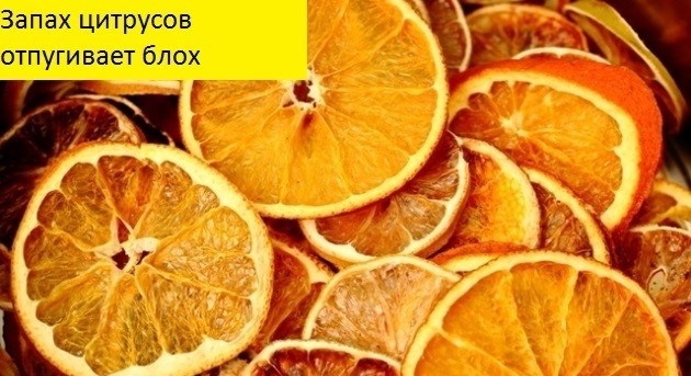 Эффективность этих способов условная