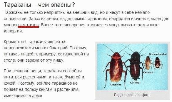 В каких случаях тараканы нападают на человека?