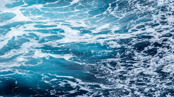 Почему нельзя пить морскую воду? Объясняет гастроэнтеролог
