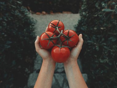 Самые необычные (но работающие) способы пережить жару