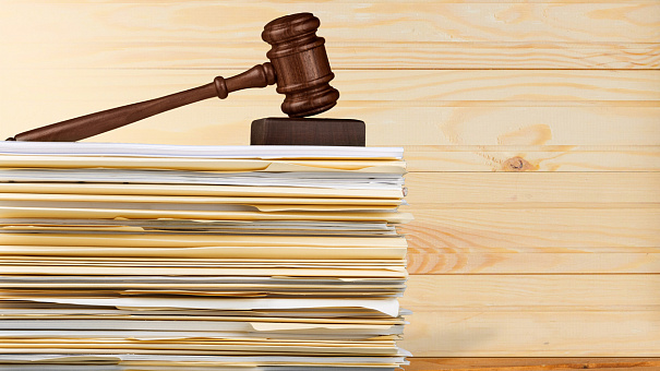Совет Федерации рассматривает проект о&nbsp;законодательном закреплении СЗЛС